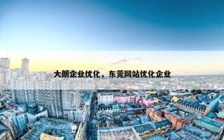 大朗企业优化，东莞网站优化企业