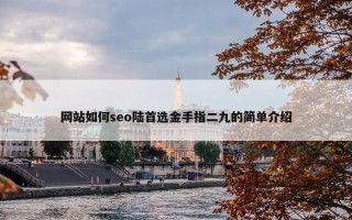 网站如何seo陆首选金手指二九的简单介绍