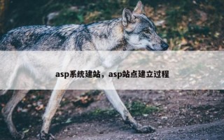 asp系统建站，asp站点建立过程