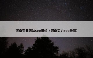 河南专业网站seo报价（河南实力seo推荐）