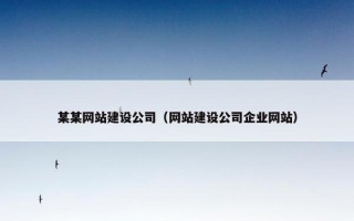 某某网站建设公司（网站建设公司企业网站）