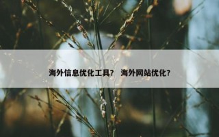 海外信息优化工具？ 海外网站优化？