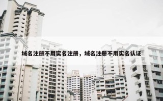 域名注册不用实名注册，域名注册不用实名认证