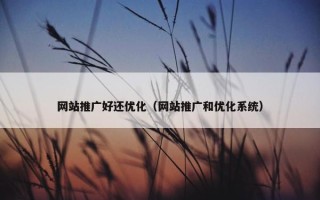 网站推广好还优化（网站推广和优化系统）