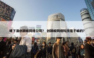 塘下涌创颖峻网络公司？ 创颖峻网络科技是干嘛的？