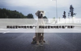 网站运营如何提升推广？ 网站运营如何提升推广效果？