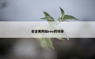 包含黄网站seo的词条