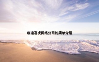 临潼喜虎网络公司的简单介绍