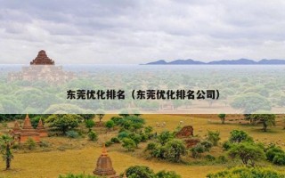 东莞优化排名（东莞优化排名公司）