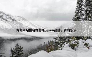 青岛网站排名推荐乐云seo品牌，青岛乐乎