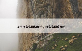 辽宁拼多多网站推广，拼多多网店推广