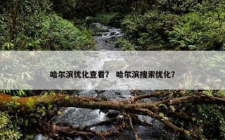 哈尔滨优化查看？ 哈尔滨搜索优化？