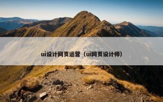 ui设计网页运营（ui网页设计师）