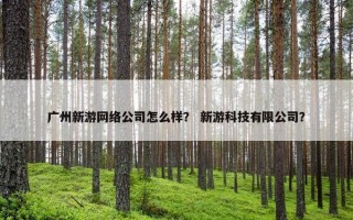 广州新游网络公司怎么样？ 新游科技有限公司？