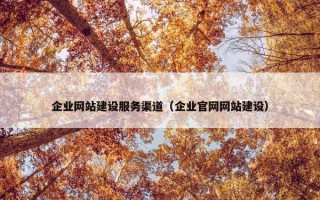 企业网站建设服务渠道（企业官网网站建设）