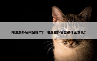阳澄湖外贸网站推广？ 阳澄湖外贸蟹是什么意思？