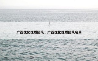 广西优化优质团队，广西优化优质团队名单
