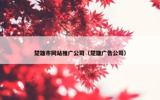 楚雄市网站推广公司（楚雄广告公司）