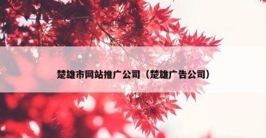 楚雄市网站推广公司（楚雄广告公司）