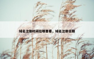 域名注册时间在哪里看，域名注册日期