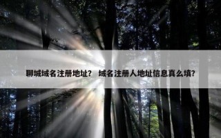 聊城域名注册地址？ 域名注册人地址信息真么填？