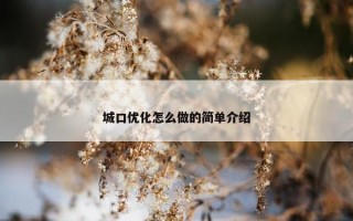 城口优化怎么做的简单介绍