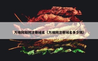 万维网如何注册域名（万维网注册域名多少钱）