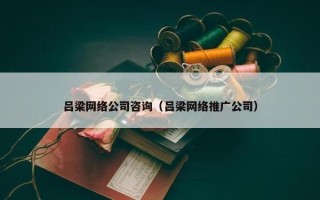 吕梁网络公司咨询（吕梁网络推广公司）