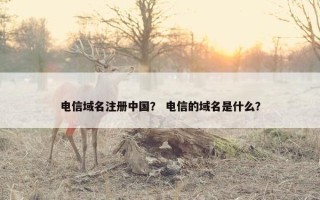 电信域名注册中国？ 电信的域名是什么？