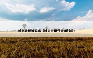 域名注册好卖吗（域名注册还能赚钱吗）