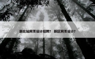 新北站网页设计招聘？ 新区网页设计？