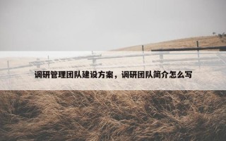 调研管理团队建设方案，调研团队简介怎么写