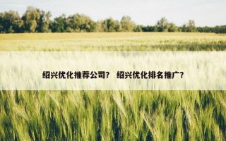 绍兴优化推荐公司？ 绍兴优化排名推广？