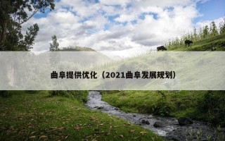 曲阜提供优化（2021曲阜发展规划）