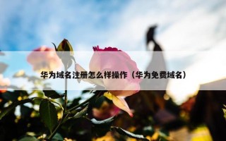 华为域名注册怎么样操作（华为免费域名）