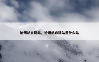 沧州站自建站，沧州站自建站是什么站