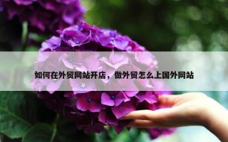如何在外贸网站开店，做外贸怎么上国外网站