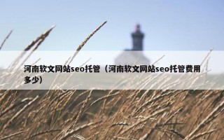 河南软文网站seo托管（河南软文网站seo托管费用多少）