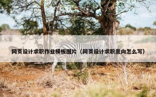 网页设计求职作业模板图片（网页设计求职意向怎么写）