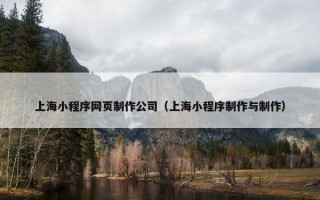上海小程序网页制作公司（上海小程序制作与制作）