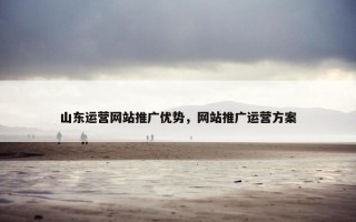山东运营网站推广优势，网站推广运营方案