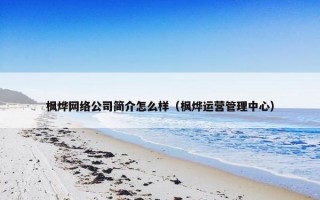 枫烨网络公司简介怎么样（枫烨运营管理中心）
