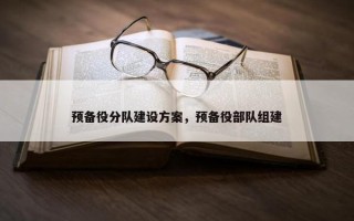 预备役分队建设方案，预备役部队组建