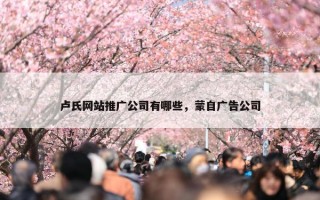 卢氏网站推广公司有哪些，蒙自广告公司