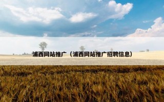 浦西网站推广（浦西网站推广招聘信息）