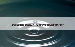 芜湖公司网站建设？ 安徽企业网站建设公司？