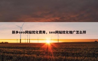 新乡seo网站优化费用，seo网站优化推广怎么样