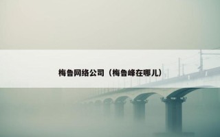 梅鲁网络公司（梅鲁峰在哪儿）