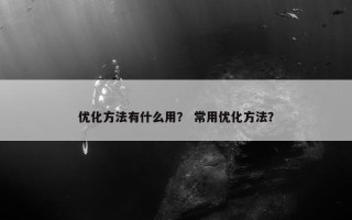 优化方法有什么用？ 常用优化方法？