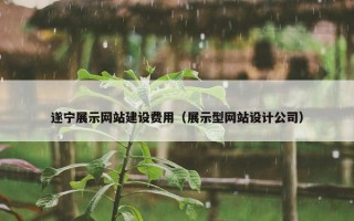 遂宁展示网站建设费用（展示型网站设计公司）